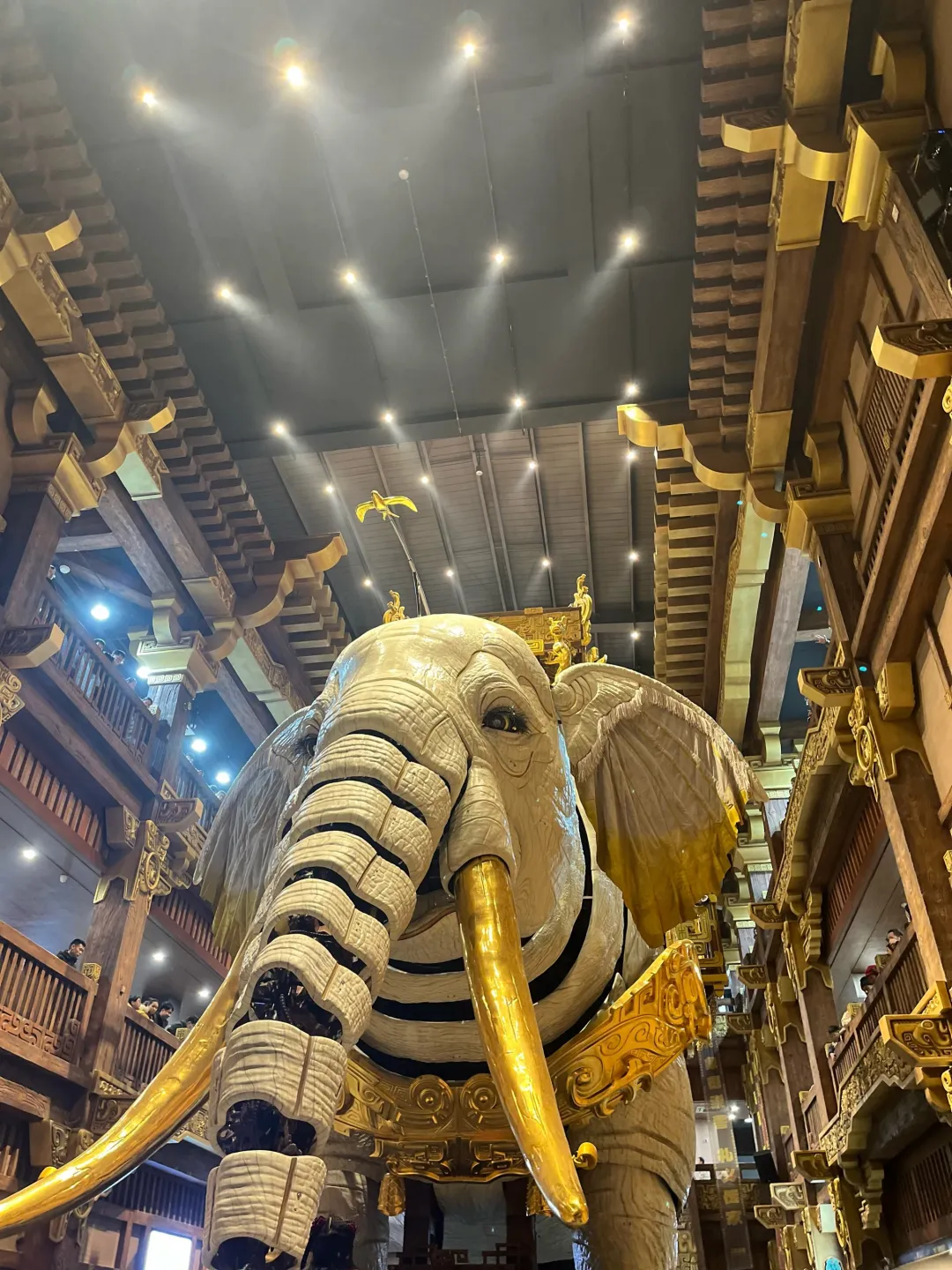 b29bf0152a51fb26ba22c452955b9b47-sz_1164207