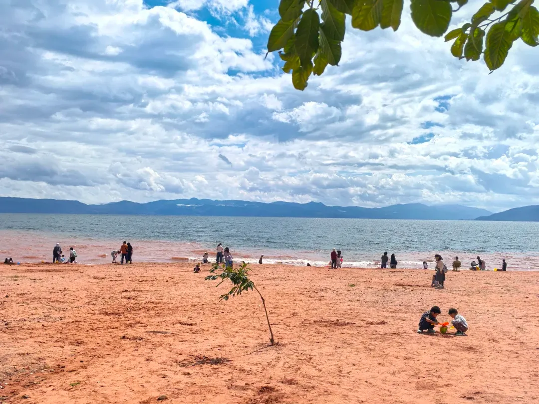 b2ab3dd6a2bb0723b74f0b68adcbebdd-sz_3095663