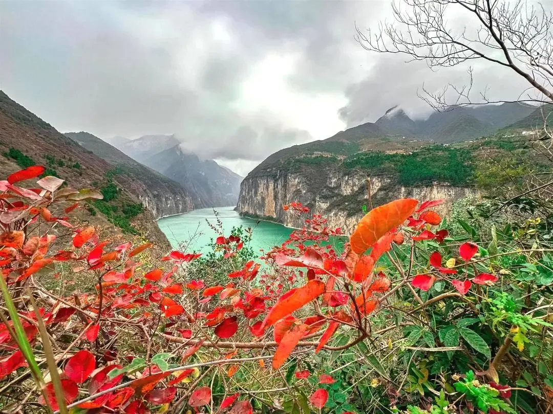 b2c1e45fed373a687d3a4129b895263f-sz_257784 b2c1e45fed373a687d3a4129b895263f-sz_257784