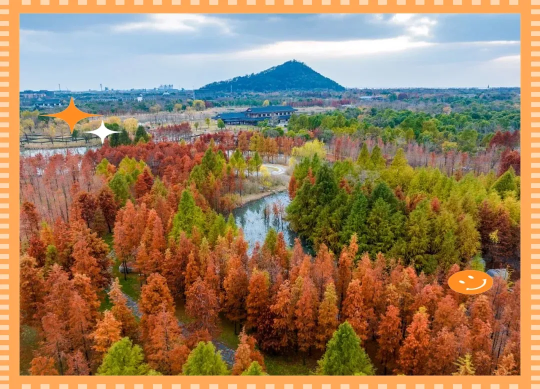 b31a90ed60006fadfc71063f246993d0-sz_1489546