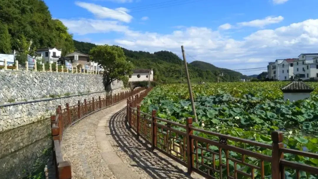 b31c5dcbb9e3b91dc937caf4b80fd070-sz_636358