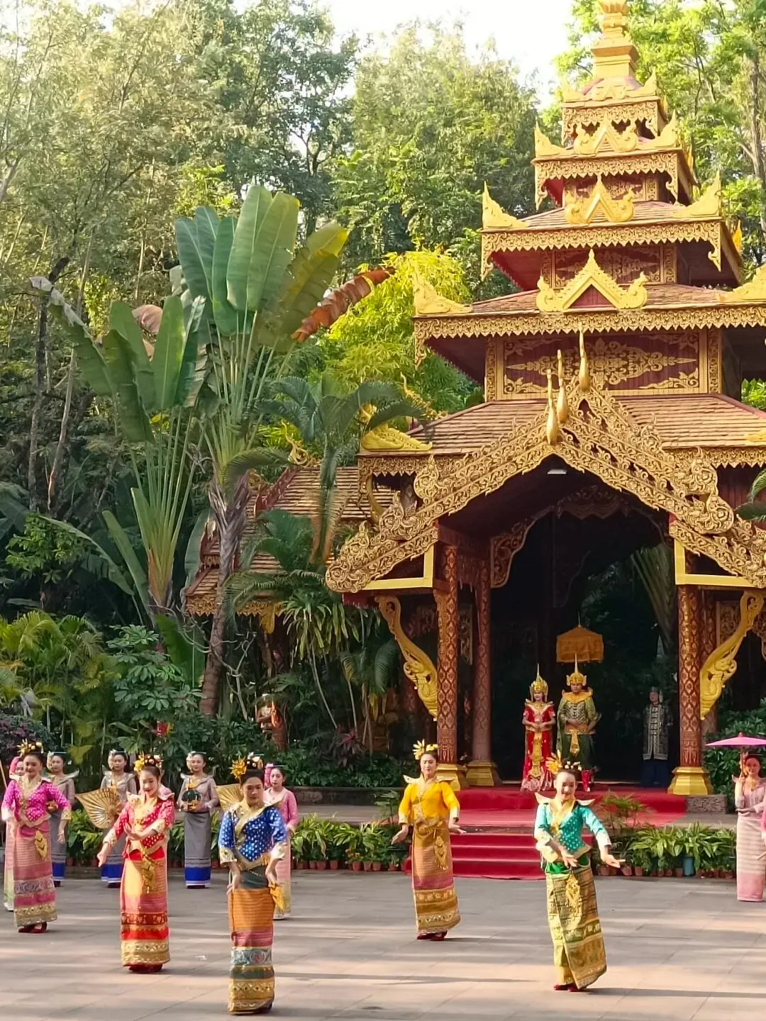 b33d62a60ad11fe32b4985824f8c99e2-sz_365337