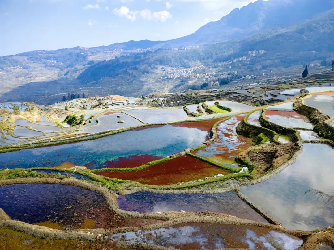 b37be142e807cb8325e2e3e4f405a2d3-sz_3478771 b37be142e807cb8325e2e3e4f405a2d3-sz_3478771