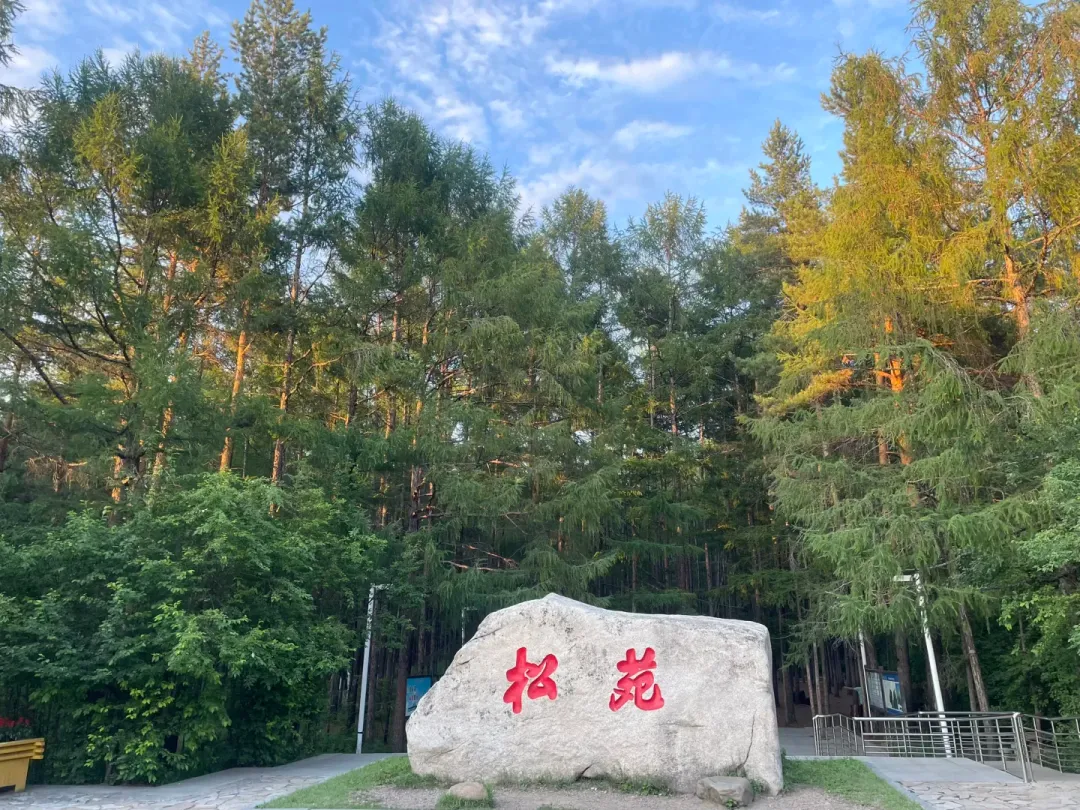 b384c4a0d3a32d7a8f5f4295c28e1a1e-sz_3311752