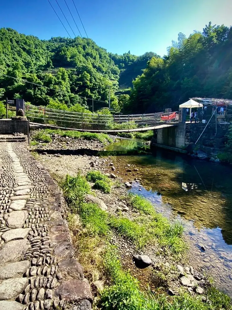 b3d4445670b30fa9f7c7ba8a054c3f40-sz_267363-1