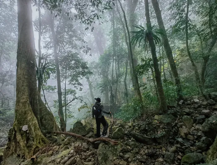 2025版上海自组【不一样的海南环岛大环游】旅居海南品质纯玩双飞9日游.全程精选酒店