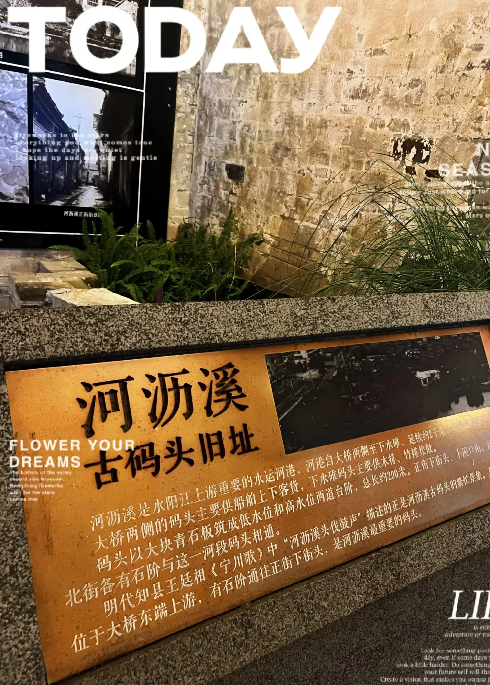 b3ef135546ae5339ef8d286fc81e55b3-sz_2058817