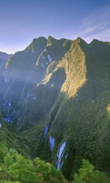 b4027cf5a4278df27f61fcd601a39401-sz_1732461