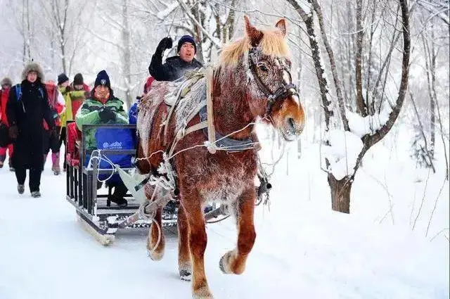 b4232952f789e606d8cb58122ea2c902-sz_62911 b4232952f789e606d8cb58122ea2c902-sz_62911