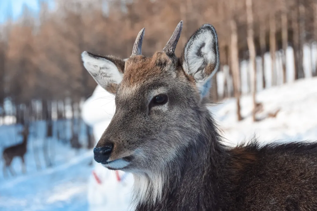 b45076127bb320bf4111d8c3e9e87f42-sz_1472979 b45076127bb320bf4111d8c3e9e87f42-sz_1472979