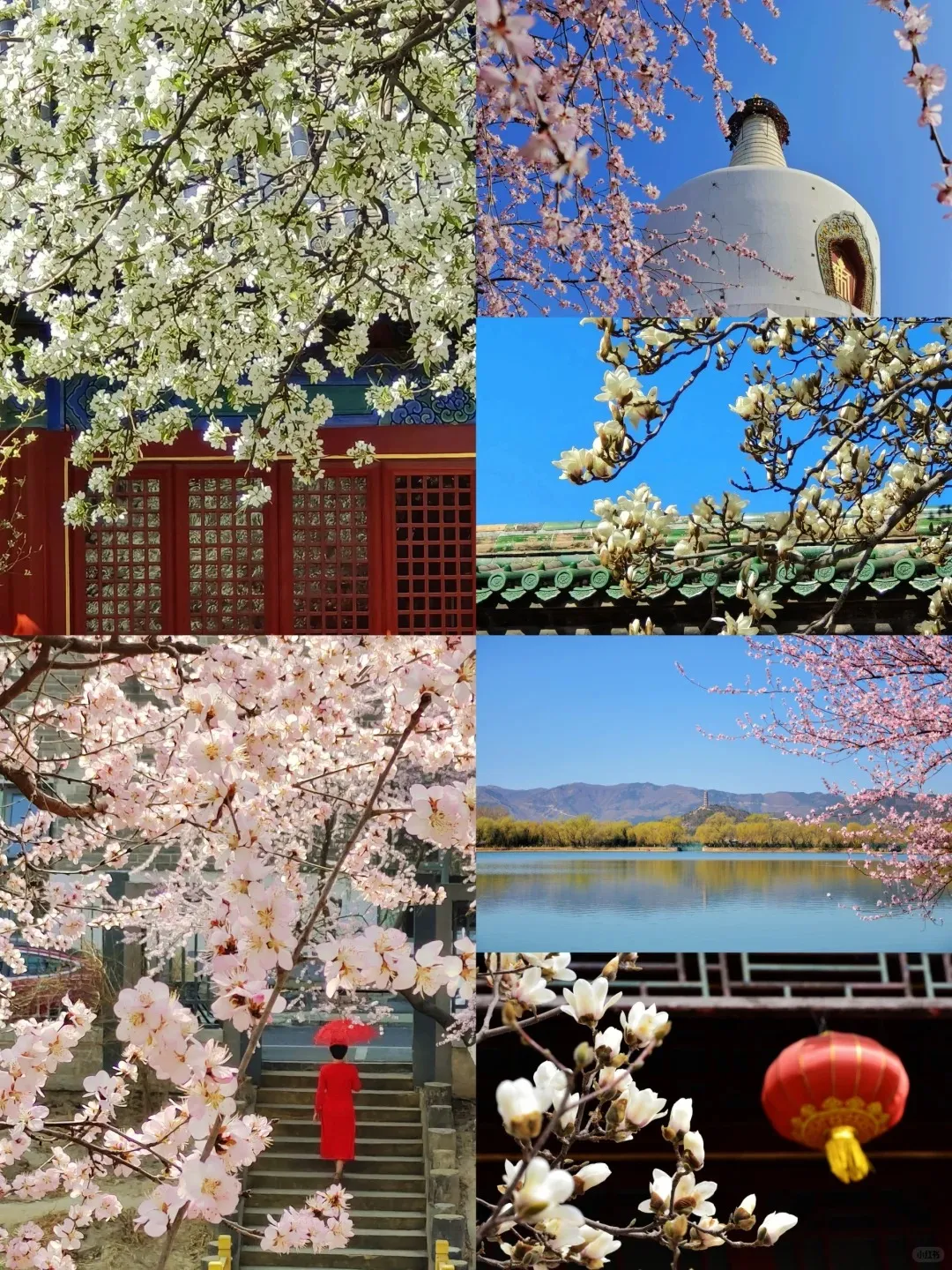 b45be50da55672907d47c8c43751a2b3-sz_635729