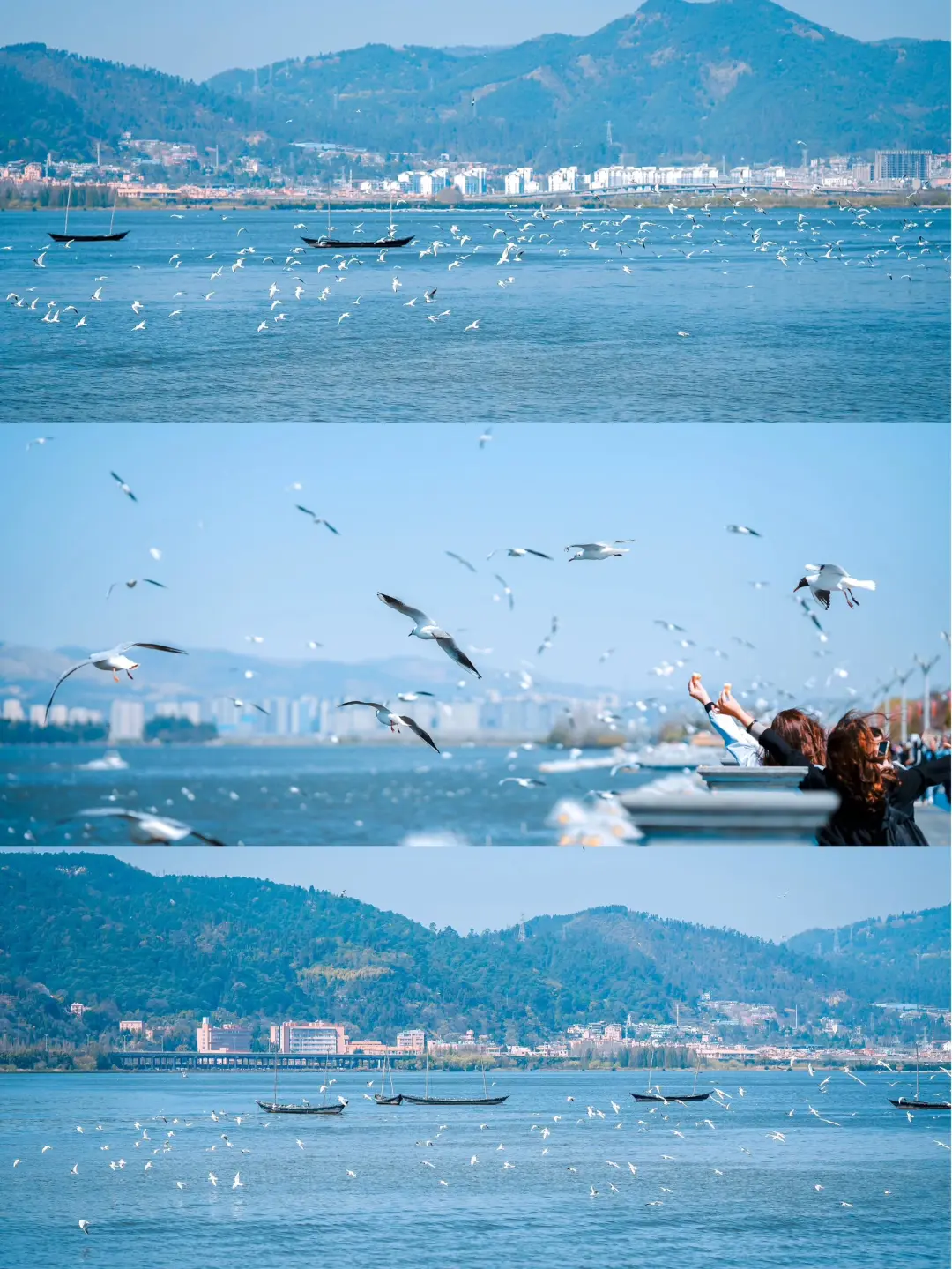 b4d5af3bc9848c2f8ff4422780fb1eda-sz_680171