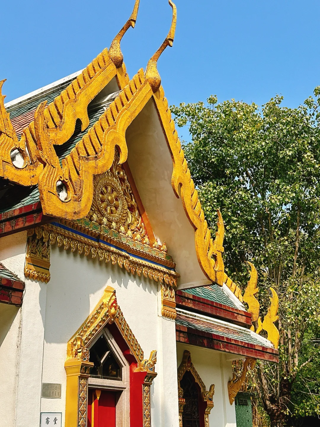 b4da5636326525a50899e64bdbc8d0d6-sz_1572171