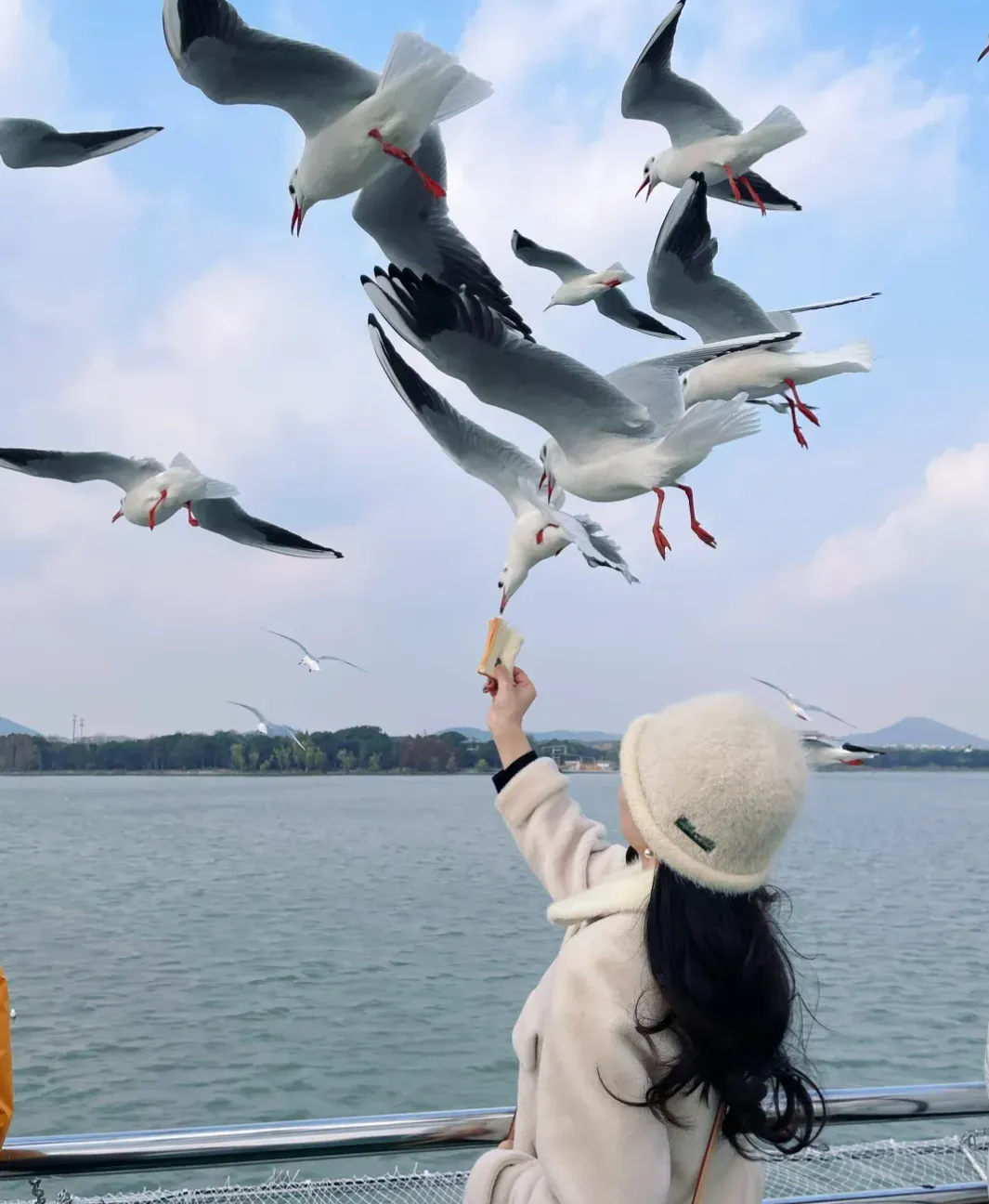 b4da8422b34730970d16d8a7a7663ecd-sz_1499673