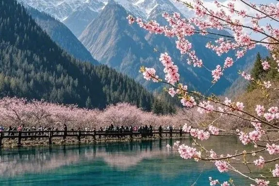 b4e105700712f67904020de321f8daf2-sz_159223-1