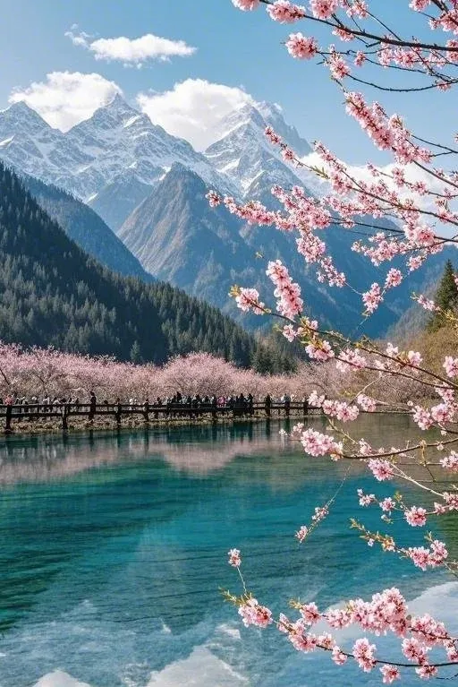 b4e105700712f67904020de321f8daf2-sz_159223