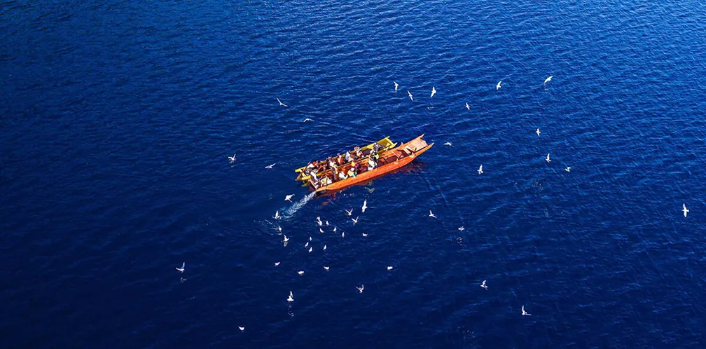 b55052dc179efecde7dea62e526b98c9-sz_509609