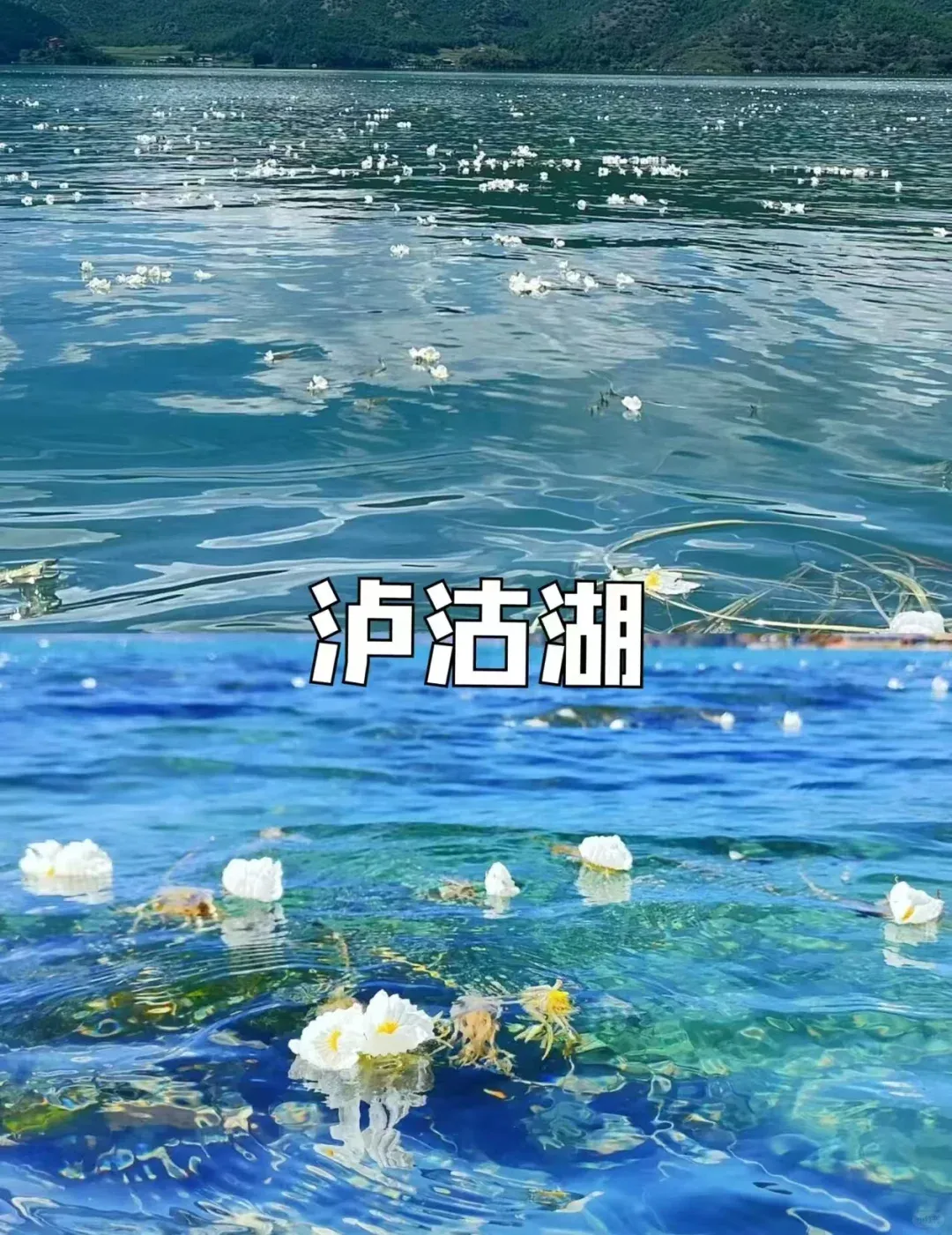 b557b965e55d80e4eac35b6a51b6e2dd-sz_1990914