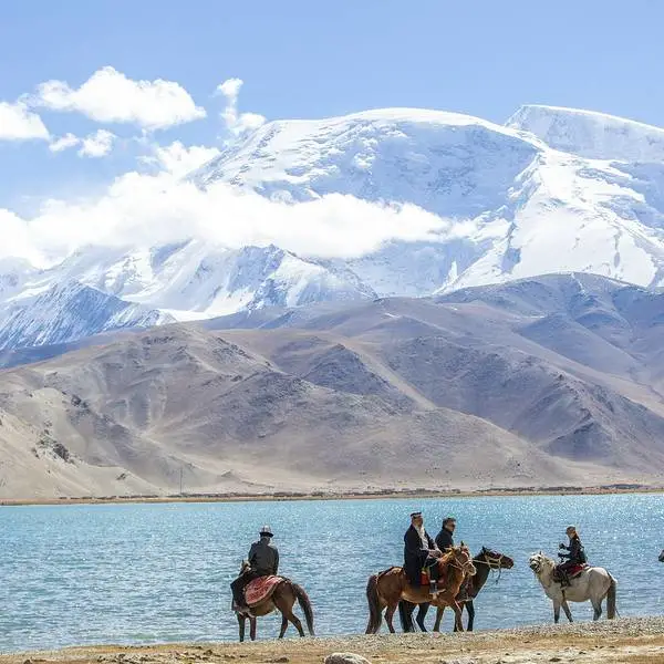 b56c93279eb3abd4466f23604f266716-sz_58333