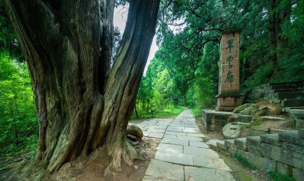 b5a34cef7de1f2b7581ec0c2d7738e2d-sz_145637 b5a34cef7de1f2b7581ec0c2d7738e2d-sz_145637