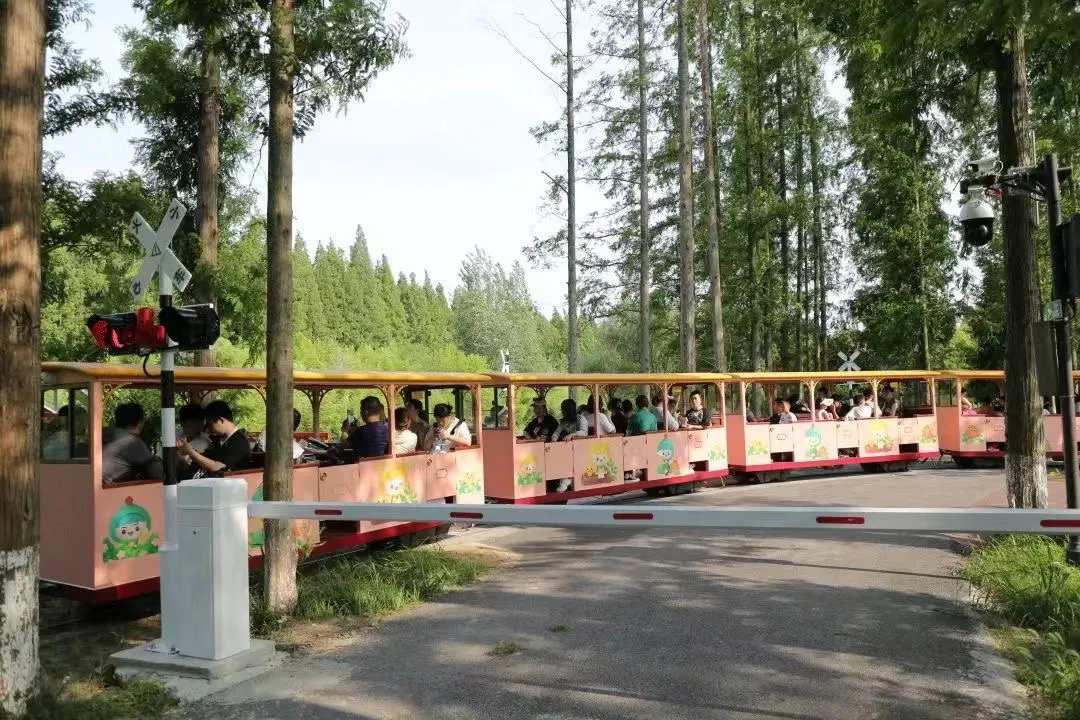 b5b69a59783fa44b6b37d552457b070d-sz_304757 b5b69a59783fa44b6b37d552457b070d-sz_304757