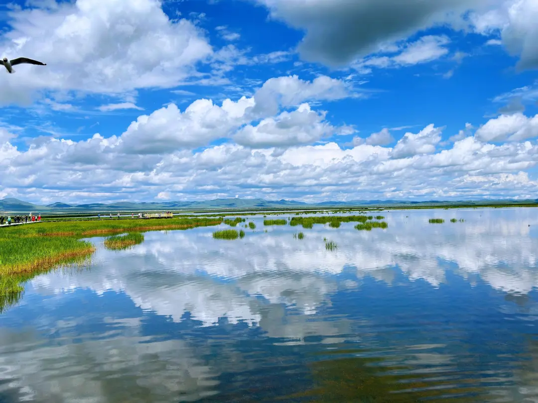 b5fb282f6137486e1d8739391b762bb4-sz_539847 b5fb282f6137486e1d8739391b762bb4-sz_539847