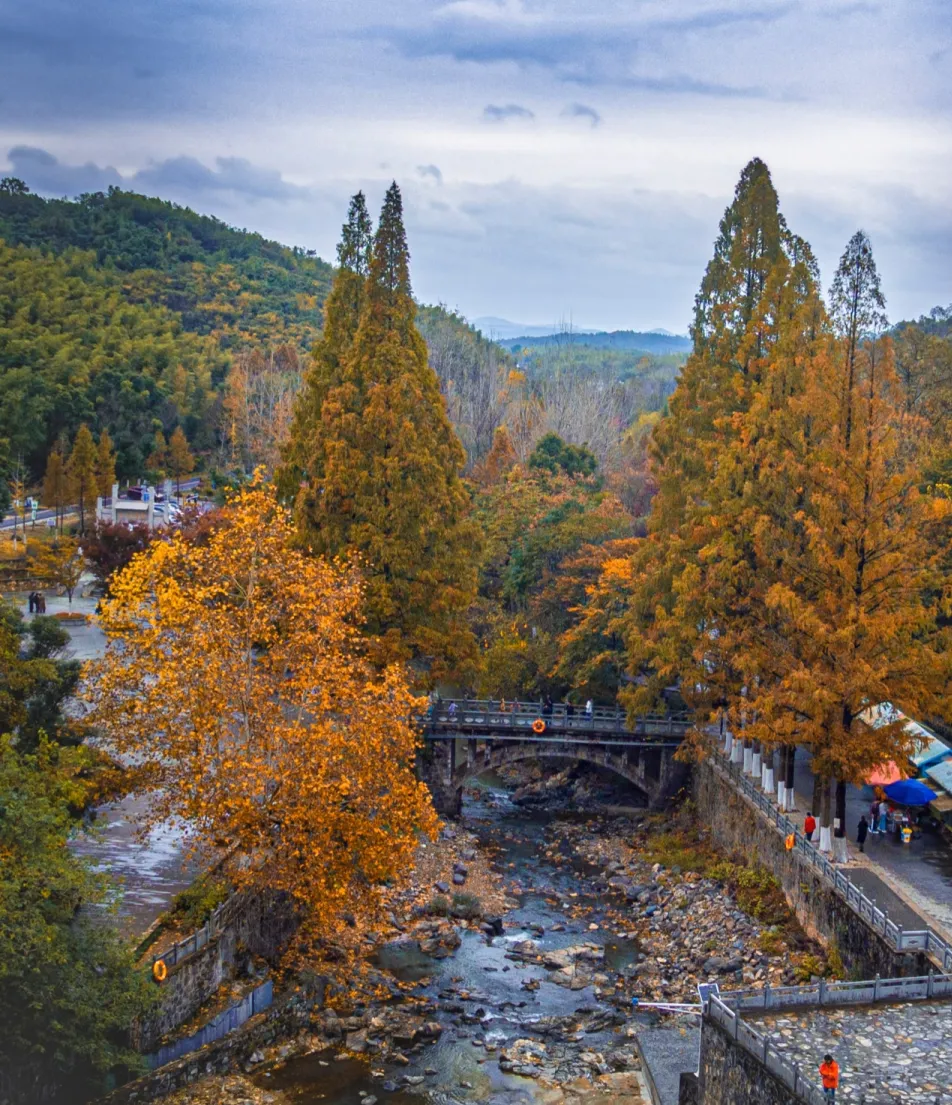 b620a05deaea155060dcde6d324a460d-sz_1763044 b620a05deaea155060dcde6d324a460d-sz_1763044