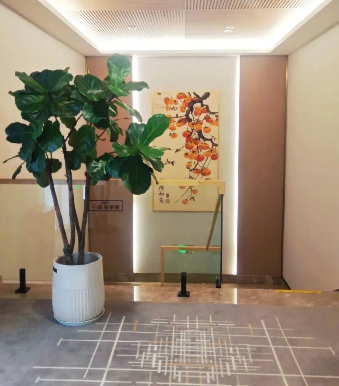 b627f706135f772960102c539d0acd7a-sz_119191