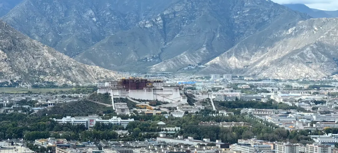 b6548d15254cf05a11dce3bf4f8151ac-sz_1833126