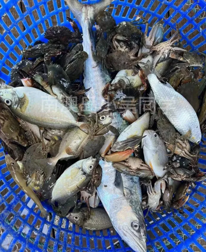 b664c930cd365ca73e2b51a695f4cc13-sz_1842062