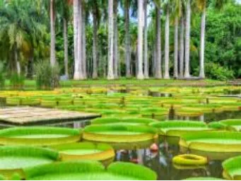 b66c3d45edf8022a882d152e49feeec7-sz_350083