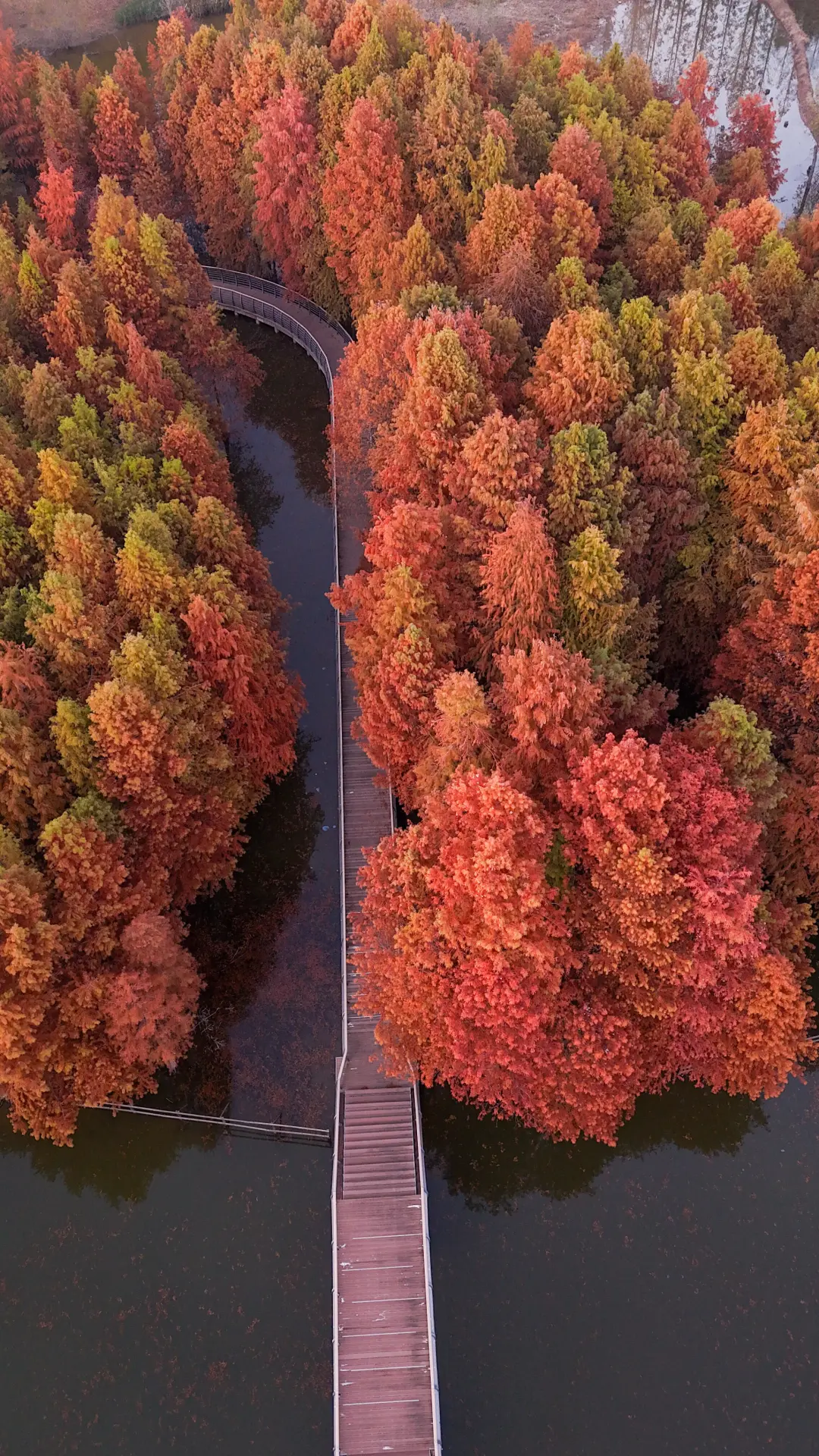 b676600a3cf10c12b5d2586987b9277b-sz_1979388 b676600a3cf10c12b5d2586987b9277b-sz_1979388