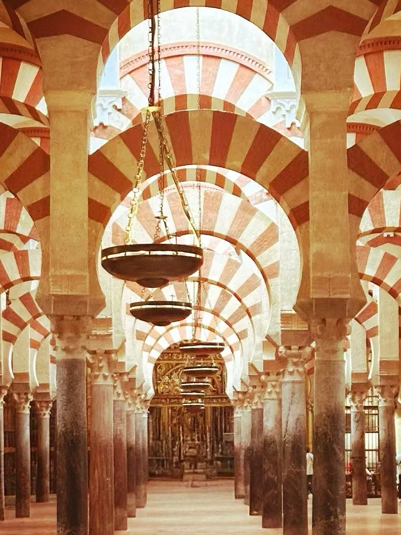 b6aea6e3fd10cc49adffc3a34baad623-sz_390078