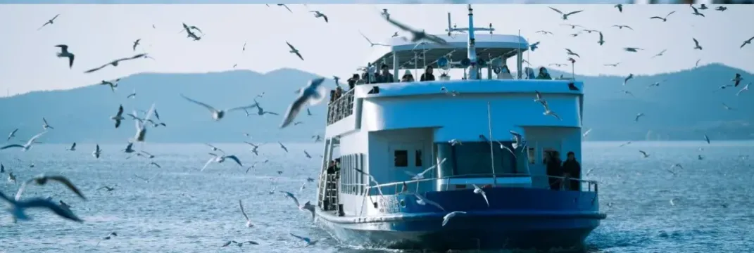 b6b0832a901501e8e84fd368a5c24c67-sz_533131-2