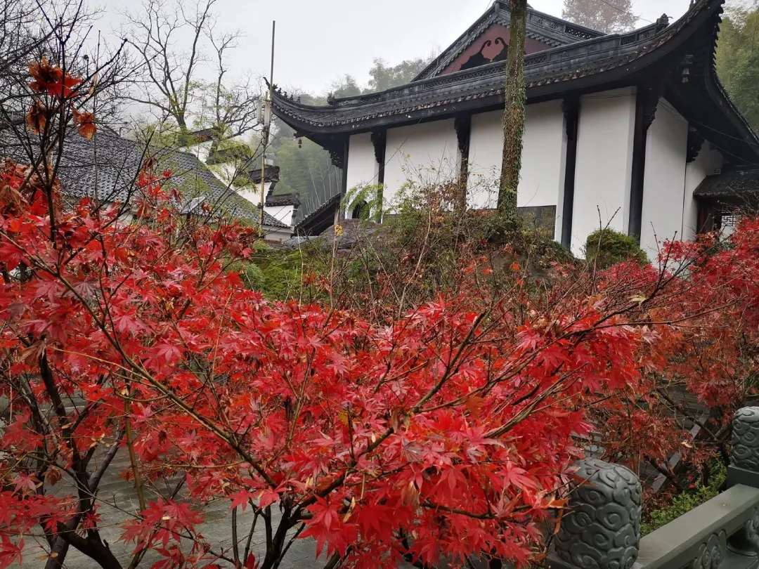 b6c88f0b6e23c8d667fe86b0ca2a4c34-sz_581263