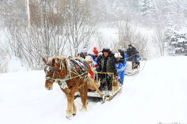 b6e80c3997f7748d2655a409a21b7e7d-sz_324813 b6e80c3997f7748d2655a409a21b7e7d-sz_324813