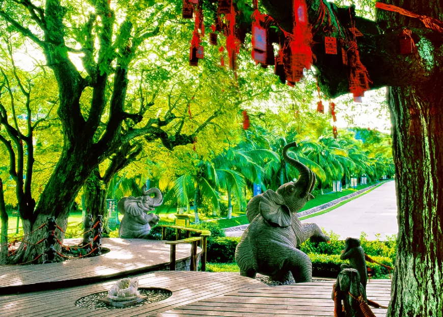 b6f197108c85ba74d3a4751f09742ab2-sz_1646082-2 b6f197108c85ba74d3a4751f09742ab2-sz_1646082-2