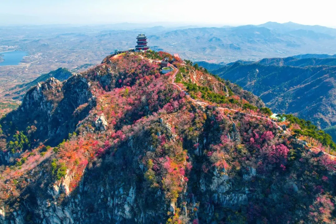 b73ac98dae435e61cf6160644f76d51c-sz_286035 b73ac98dae435e61cf6160644f76d51c-sz_286035