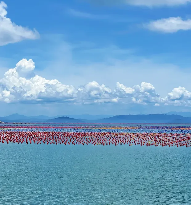 b79ffdafd2bc3b3e91103eba380f1ac6-sz_733634