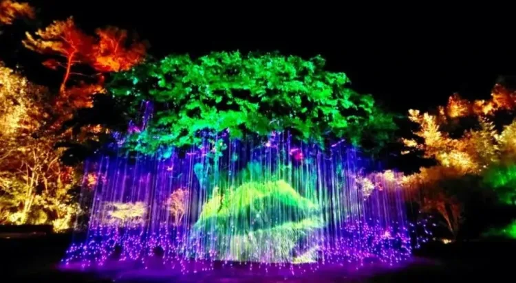 b7c4dcccd8fc4a9d0e5418181ea1308b-sz_803515 b7c4dcccd8fc4a9d0e5418181ea1308b-sz_803515