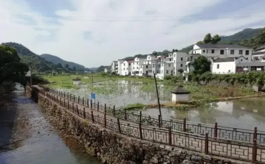 b7ef8d42aeb2c16e6710d6d931ec6471-sz_441741