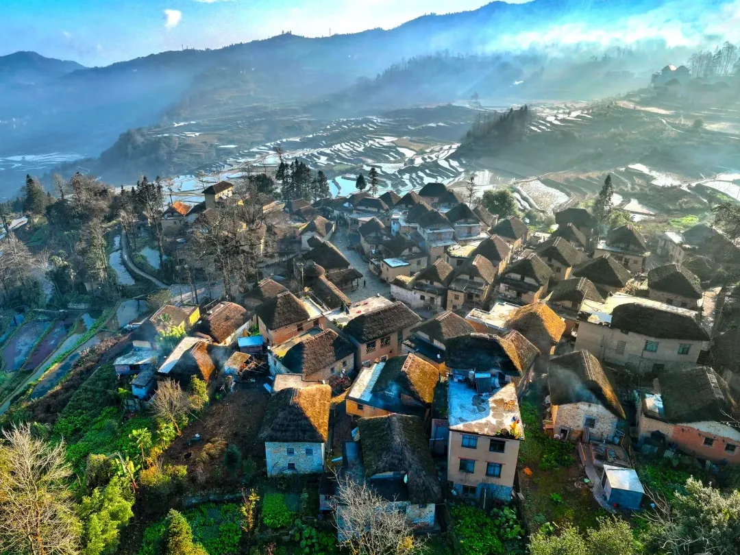 b7f1474edca4df568ad8cc7a619f3673-sz_2642993