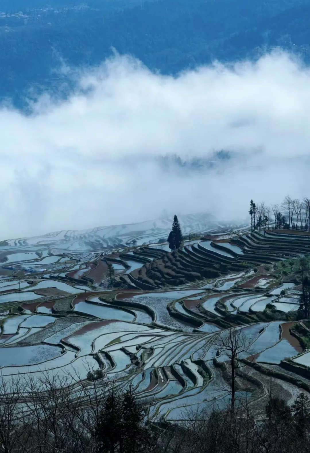 b8242d650f374835940cdbb16ec87eb5-sz_456243 b8242d650f374835940cdbb16ec87eb5-sz_456243