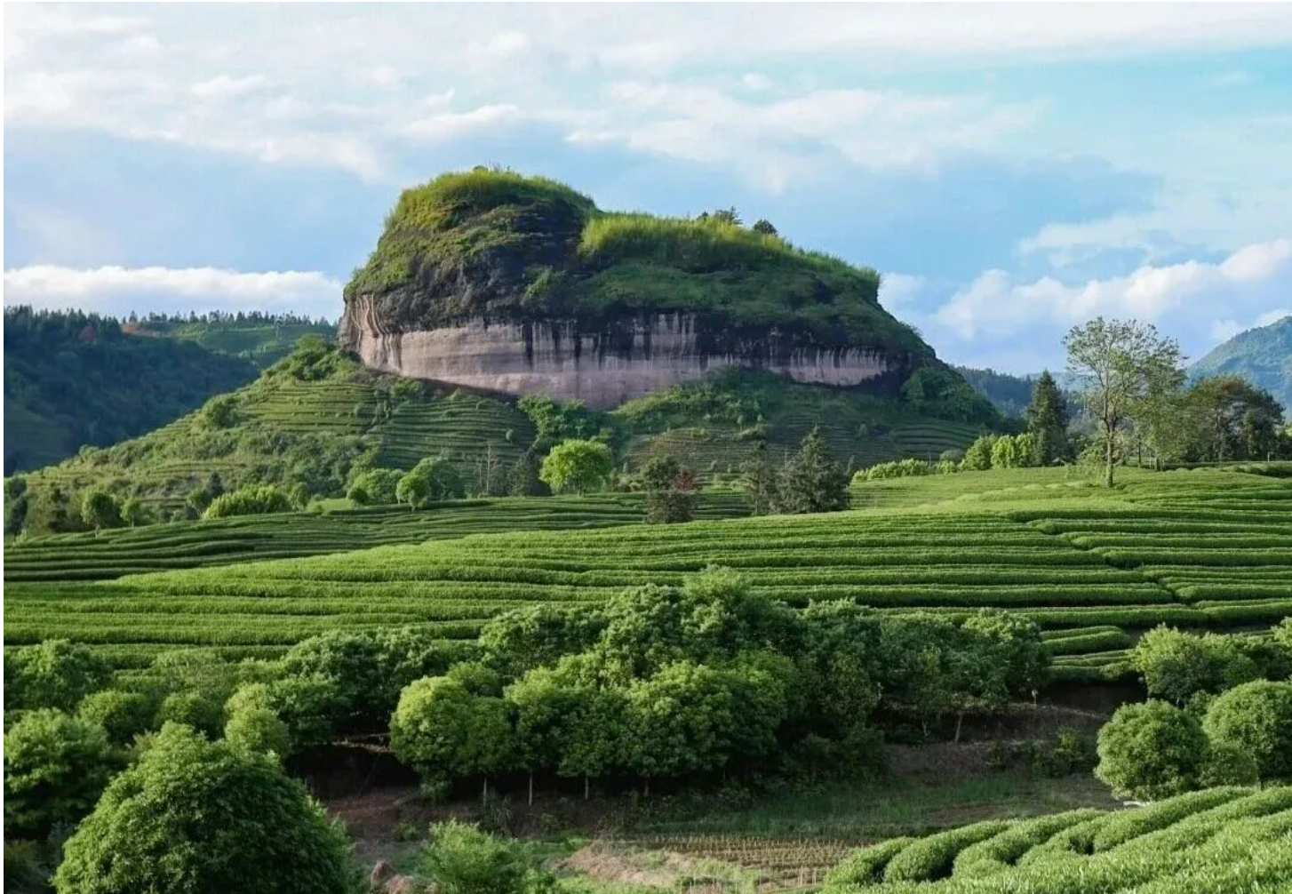 b83a642bd5b91c5384e3ff5b3ee2f326