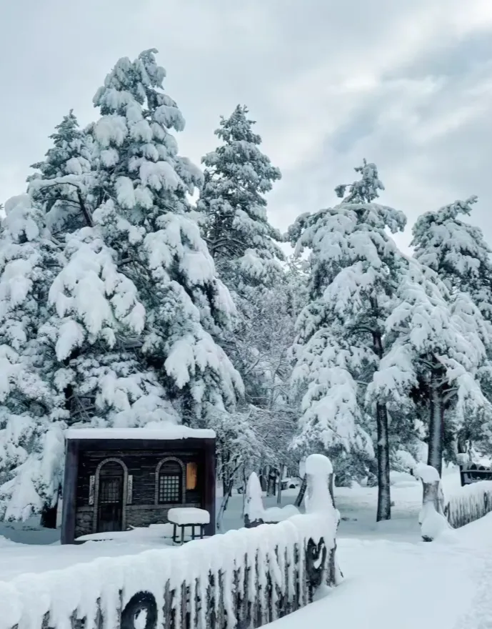 b869abb4ca862e8a18b3db8f0264d2b4-sz_910299 b869abb4ca862e8a18b3db8f0264d2b4-sz_910299