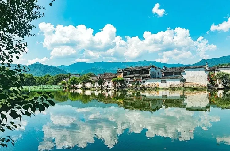 b87b873a99c7728e7eebea291e4e2a02-sz_206274 b87b873a99c7728e7eebea291e4e2a02-sz_206274