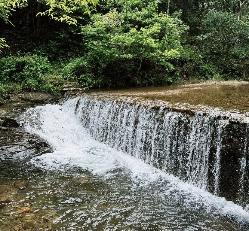 b8cfa93d173ad82399b9d5f65938cbd6-sz_1769553