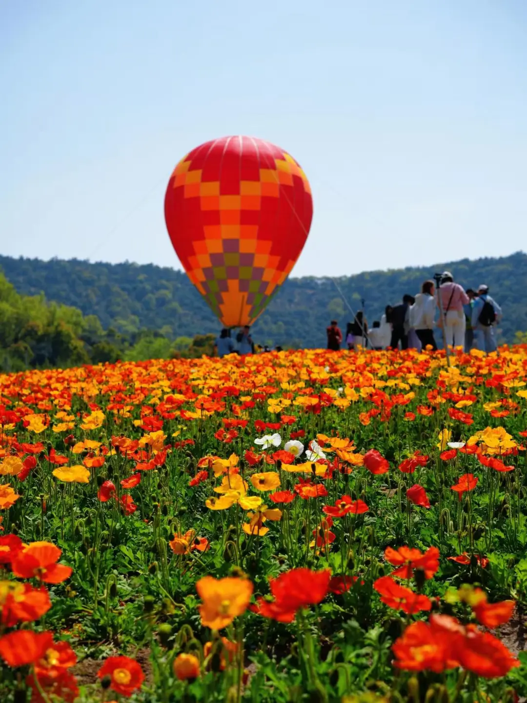 b9620aab36609058b4dd4333399a3aea-sz_297893