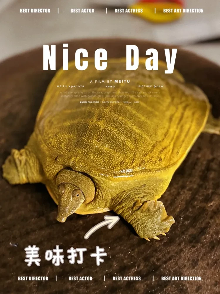 b96287997887d82b47b5a55b45013a4c-sz_1522544 b96287997887d82b47b5a55b45013a4c-sz_1522544