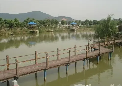 b96ab8a1fd934af7399a57f2856ed5b5-sz_200615-1